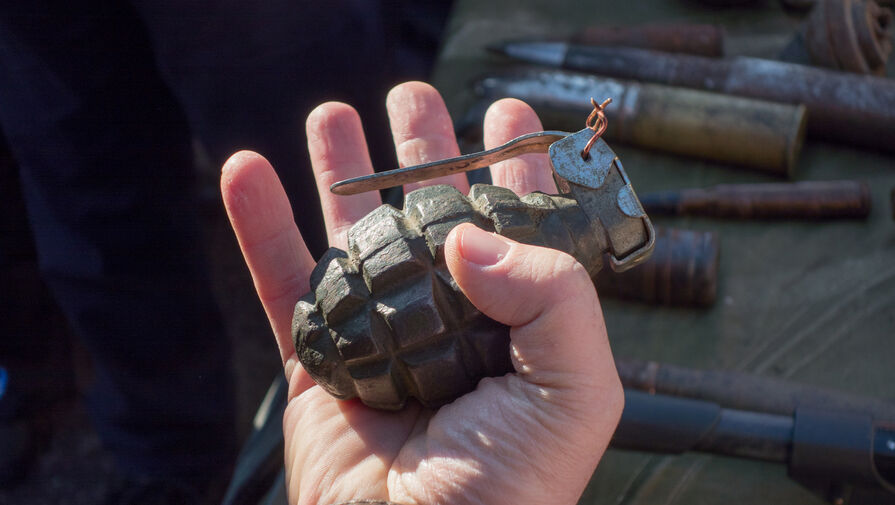 В Киевской области мужчина бросил гранату в полицейского