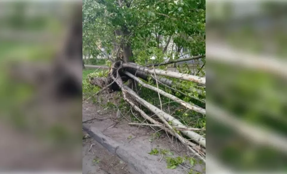 Последствия сильного ветра в Уфе  сломаны деревья и повреждены автомобили